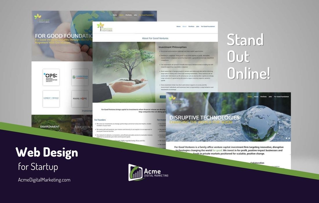 Web Design for Startup Optimized Website Design SEO