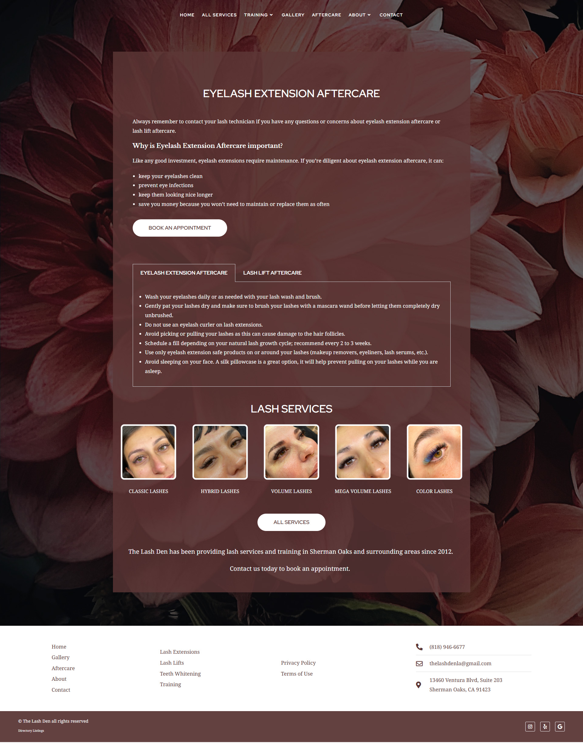 Web Design for Lash Salon & Academy